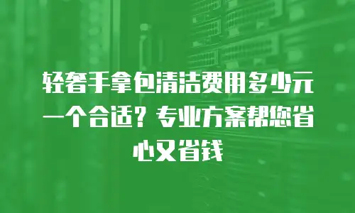 轻奢手拿包清洁费用多少元一个合适？专业方案帮您省心又省钱