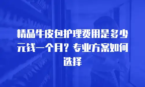 精品牛皮包护理费用是多少元钱一个月？专业方案如何选择