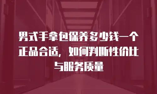 男式手拿包保养多少钱一个正品合适，如何判断性价比与服务质量
