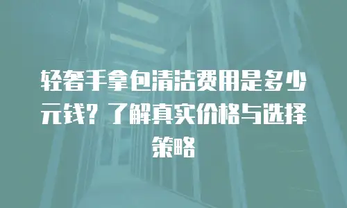 轻奢手拿包清洁费用是多少元钱？了解真实价格与选择策略