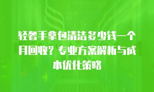 轻奢手拿包清洁多少钱一个月回收？专业方案解析与成本优化策略