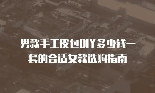 男款手工皮包DIY多少钱一套的合适女款选购指南