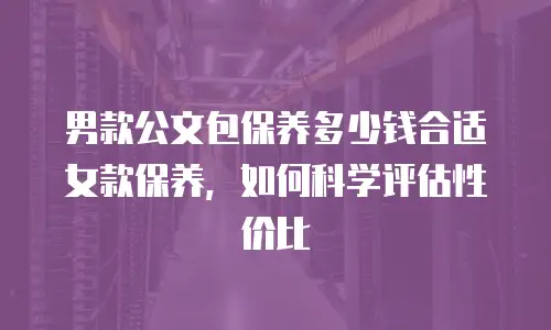 男款公文包保养多少钱合适女款保养，如何科学评估性价比