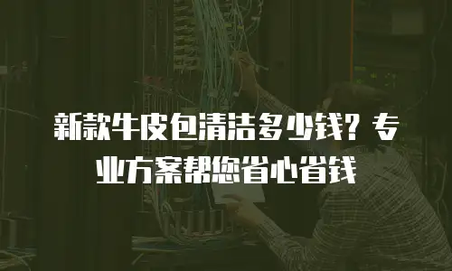 新款牛皮包清洁多少钱？专业方案帮您省心省钱