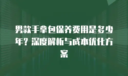 男款手拿包保养费用是多少年？深度解析与成本优化方案