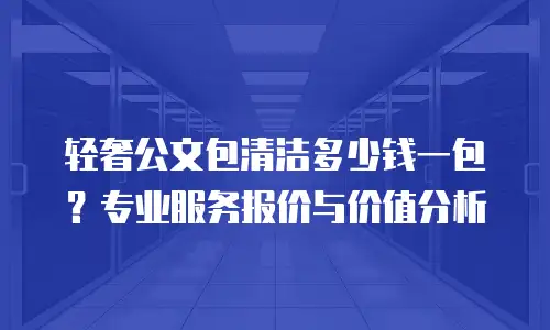 轻奢公文包清洁多少钱一包？专业服务报价与价值分析