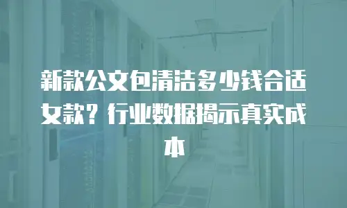 新款公文包清洁多少钱合适女款？行业数据揭示真实成本