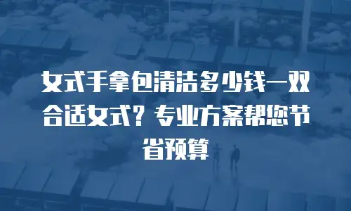女式手拿包清洁多少钱一双合适女式？专业方案帮您节省预算