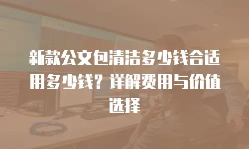 新款公文包清洁多少钱合适用多少钱？详解费用与价值选择