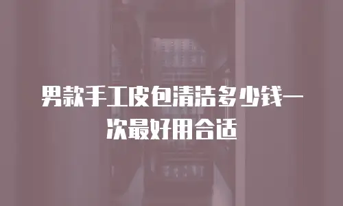 男款手工皮包清洁多少钱一次最好用合适
