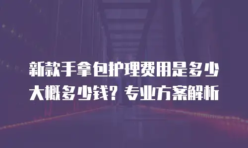 新款手拿包护理费用是多少大概多少钱？专业方案解析