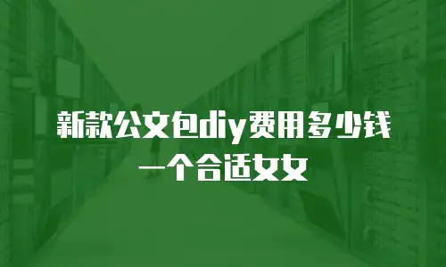 新款公文包diy费用多少钱一个合适女女