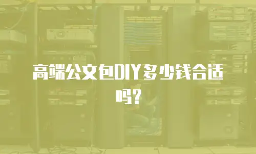 高端公文包DIY多少钱合适吗？