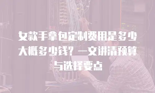 女款手拿包定制费用是多少大概多少钱？一文讲清预算与选择要点