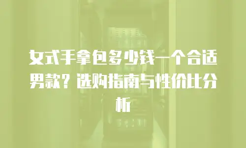 女式手拿包多少钱一个合适男款？选购指南与性价比分析