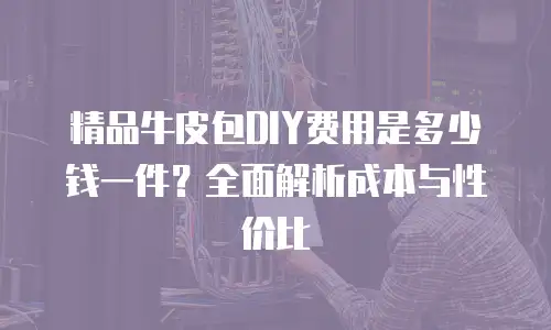 精品牛皮包DIY费用是多少钱一件？全面解析成本与性价比