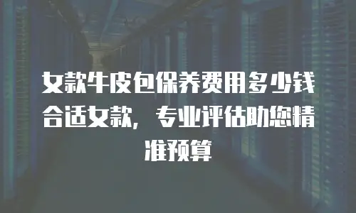女款牛皮包保养费用多少钱合适女款，专业评估助您精准预算