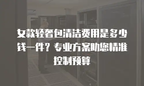女款轻奢包清洁费用是多少钱一件？专业方案助您精准控制预算