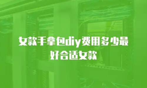 女款手拿包diy费用多少最好合适女款