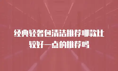 经典轻奢包清洁推荐哪款比较好一点的推荐吗