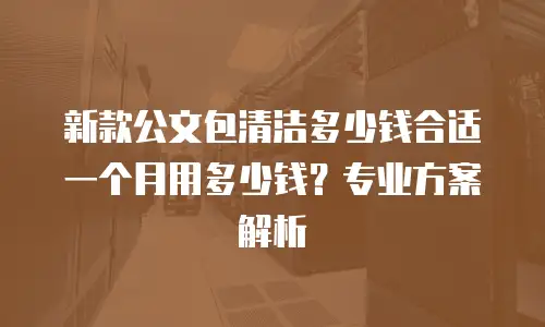 新款公文包清洁多少钱合适一个月用多少钱？专业方案解析