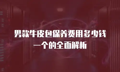 男款牛皮包保养费用多少钱一个的全面解析