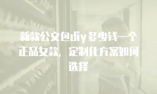 新款公文包diy多少钱一个正品女款，定制化方案如何选择