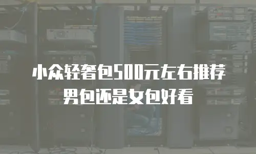 小众轻奢包500元左右推荐男包还是女包好看