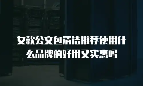 女款公文包清洁推荐使用什么品牌的好用又实惠吗
