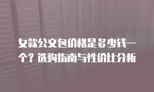 女款公文包价格是多少钱一个？选购指南与性价比分析