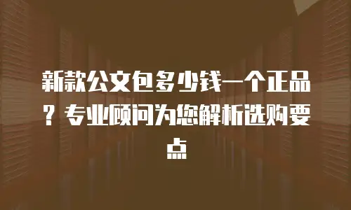新款公文包多少钱一个正品？专业顾问为您解析选购要点