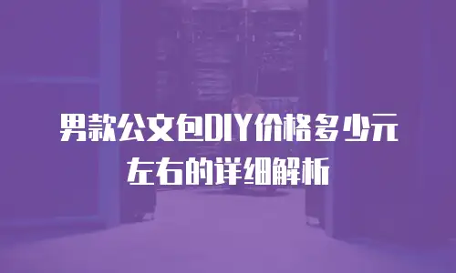 男款公文包DIY价格多少元左右的详细解析