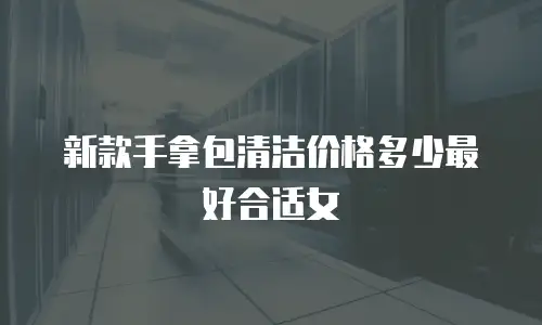 新款手拿包清洁价格多少最好合适女