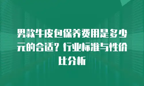 男款牛皮包保养费用是多少元的合适？行业标准与性价比分析