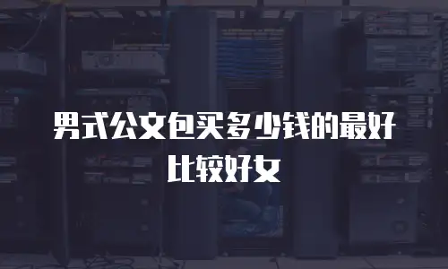 男式公文包买多少钱的最好比较好女