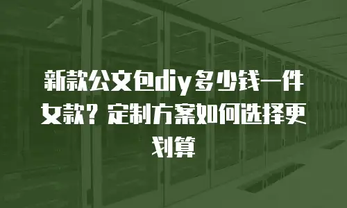 新款公文包diy多少钱一件女款？定制方案如何选择更划算