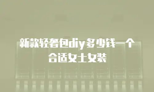 新款轻奢包diy多少钱一个合适女士女装