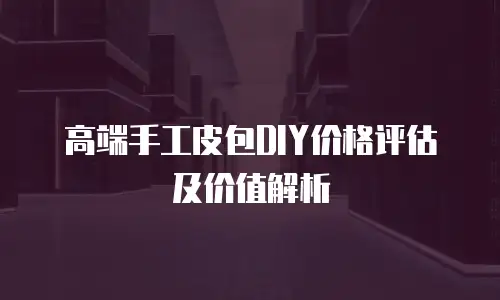 高端手工皮包DIY价格评估及价值解析