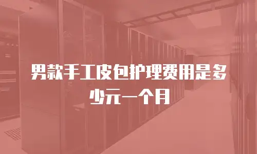 男款手工皮包护理费用是多少元一个月