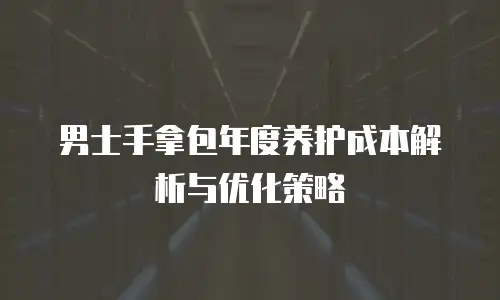 男士手拿包年度养护成本解析与优化策略