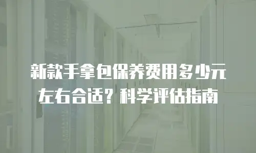 新款手拿包保养费用多少元左右合适？科学评估指南