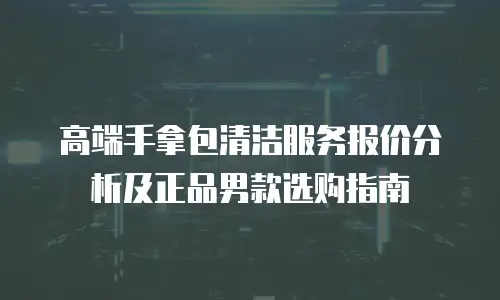 高端手拿包清洁服务报价分析及正品男款选购指南