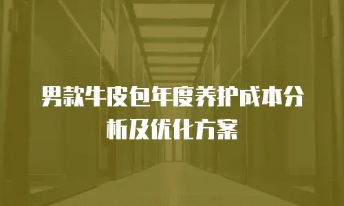 男款牛皮包年度养护成本分析及优化方案