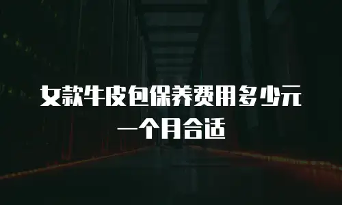 女款牛皮包保养费用多少元一个月合适