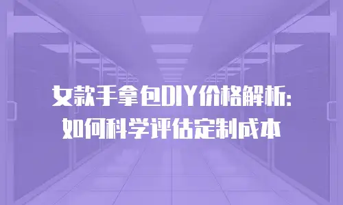 女款手拿包DIY价格解析：如何科学评估定制成本