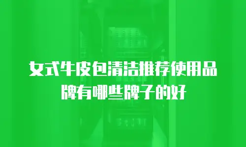 女式牛皮包清洁推荐使用品牌有哪些牌子的好