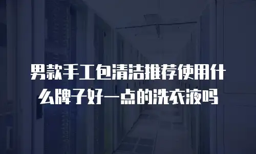 男款手工包清洁推荐使用什么牌子好一点的洗衣液吗