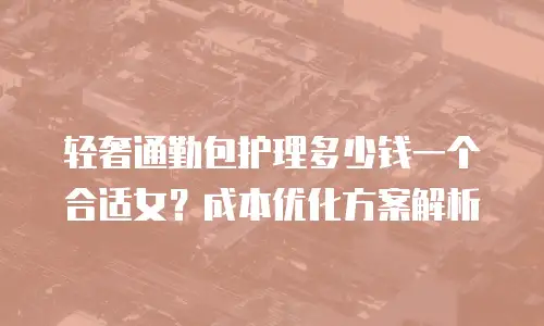 轻奢通勤包护理多少钱一个合适女？成本优化方案解析