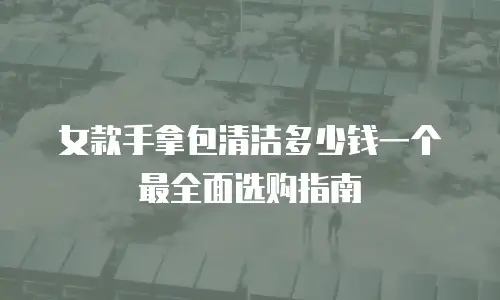 女款手拿包清洁多少钱一个 最全面选购指南
