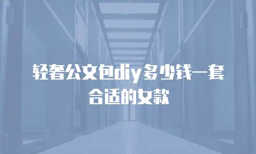 轻奢公文包diy多少钱一套合适的女款